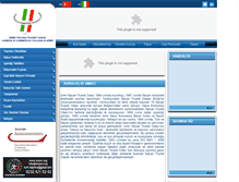 Tablet Screenshot of cciizmir.org